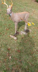 A deer target with many arrows in the kill shot zone.